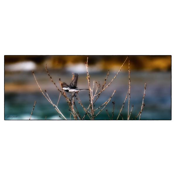 PHOTO84, CLUB, 84 , LUBERON